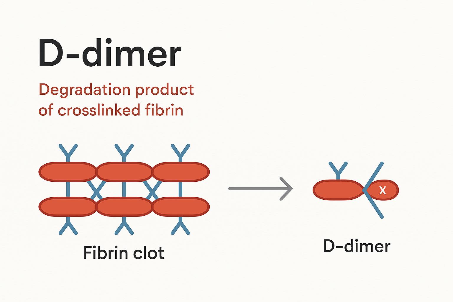 D-dimer 之於懷孕，大學教授告訴妳的要聽！#北醫陳啟煌主任