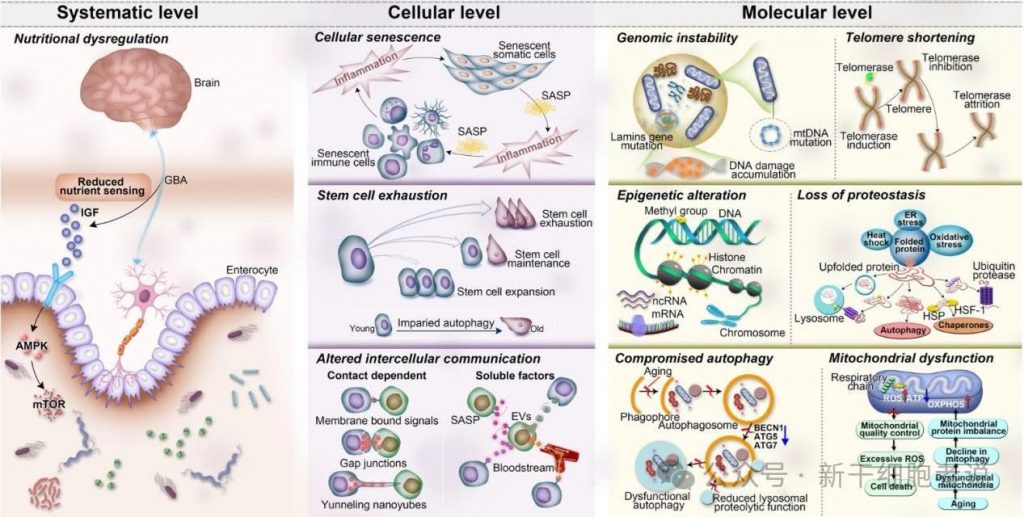最是人間留不住，朱顏辭鏡花辭樹