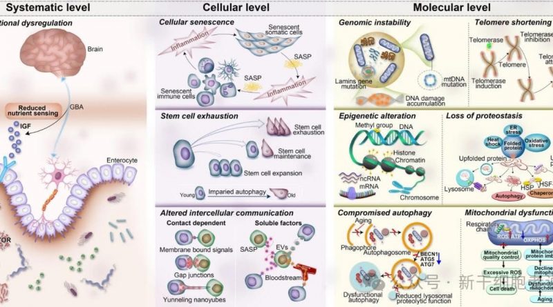 最是人間留不住，朱顏辭鏡花辭樹