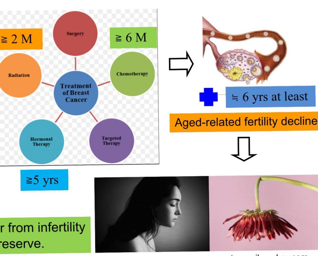 江湖少見的排卵刺激超長療程於乳癌患者卵巢衰竭