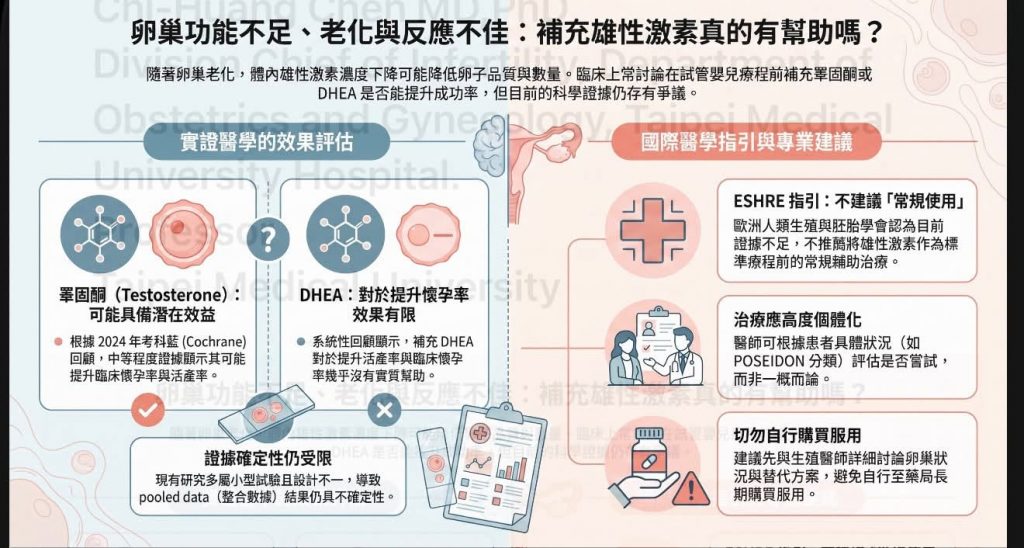 卵巢功能不足、老化與反應不佳:補充雄性激素真的有幫助嗎?