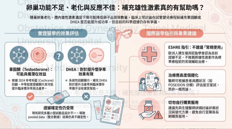 卵巢功能不足、老化與反應不佳：補充雄性激素真的有幫助嗎？
