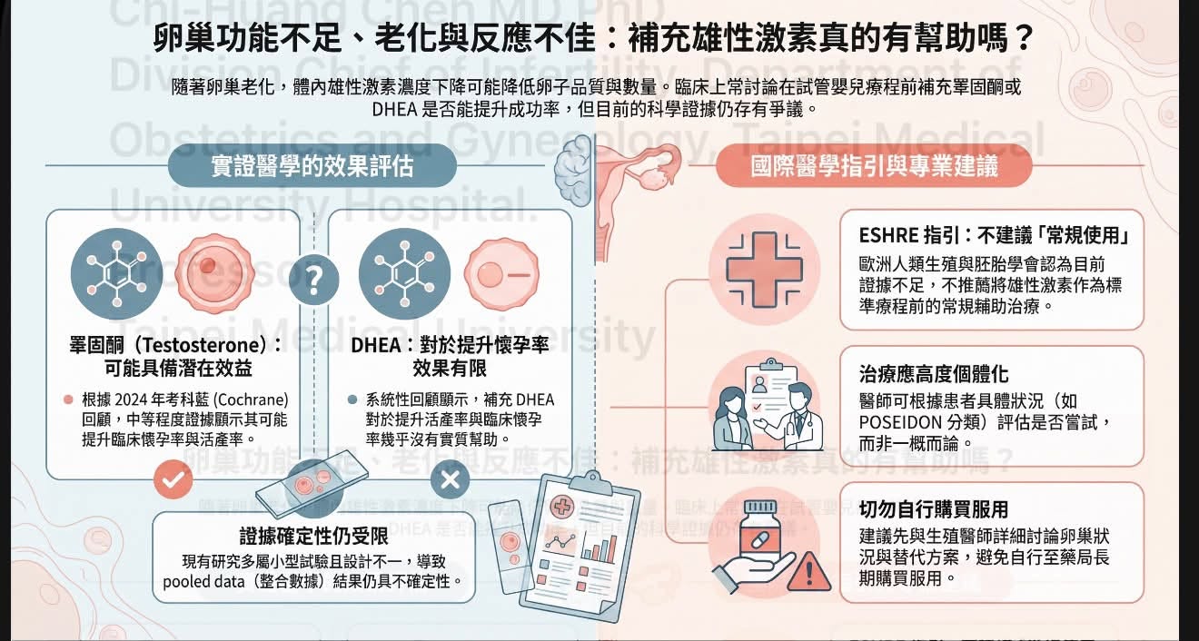 卵巢功能不足、老化與反應不佳:補充雄性激素真的有幫助嗎?