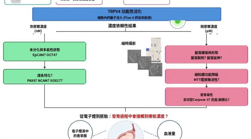 電子煙的「香草味