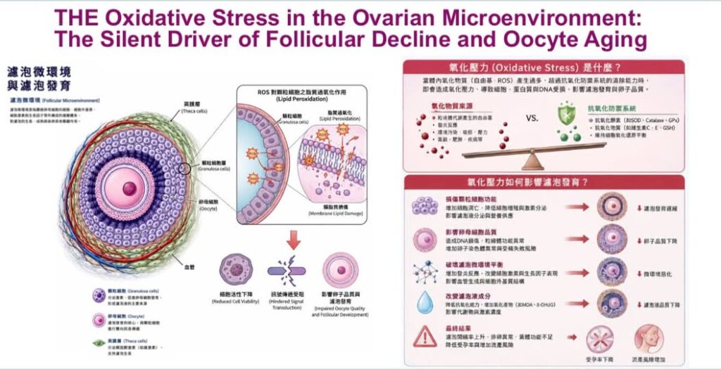 服用抗氧化劑對求孕女性多重要，當然男生也必用！